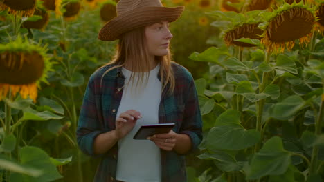 A-woman-farmer-manager-walks-across-the-field-with-big-yellow-sunflowers-and-examines-them.-She-writes-their-characteristics-to-an-e-book.